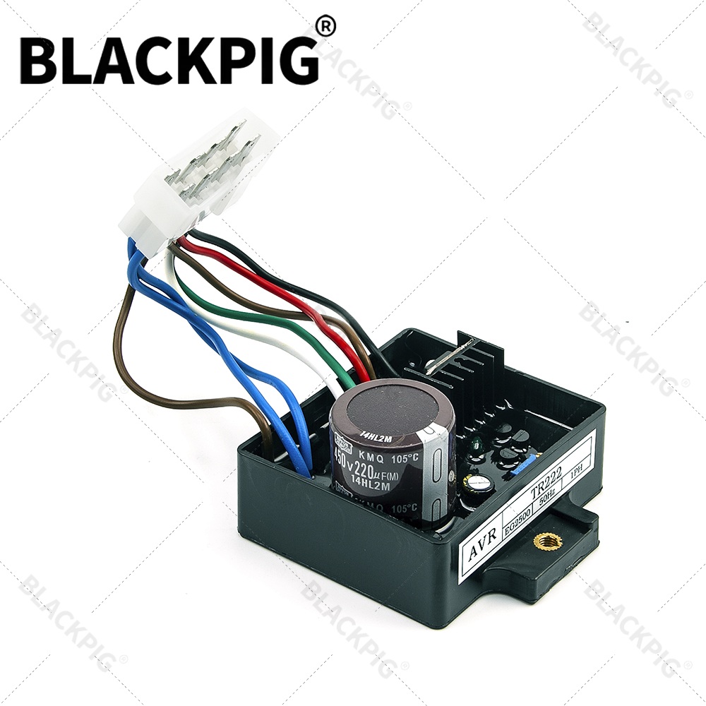 TR222 EG2500 AVR 自動電圧レギュレータスタビ - Cycloidal Reducer Bldc Motor のレビューと価格